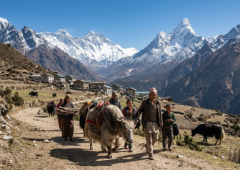 Connecting Himalayan Communities To The Global Pet World​