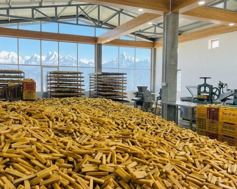 Bulk yak chews in a modern Himalayan production facility with mountain views for wholesale.